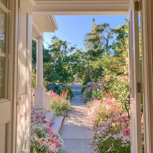 A gentle walk outside after lunch, surrounded by greenery and natural light.